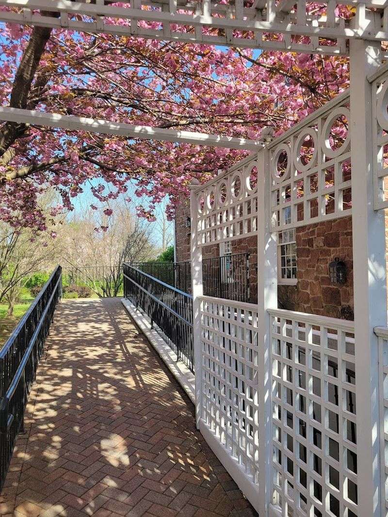 Spring at the Village Has a Bonus Worth Knowing