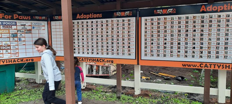 Tips for Making the Most of Your Visit