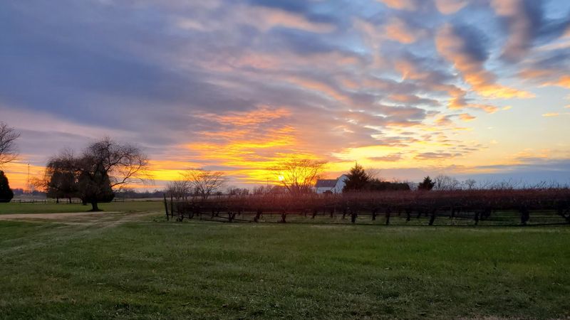 Proximity to Local Attractions