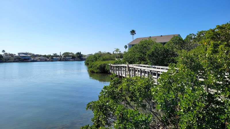 Explore the Indian Rocks Beach Nature Preserve