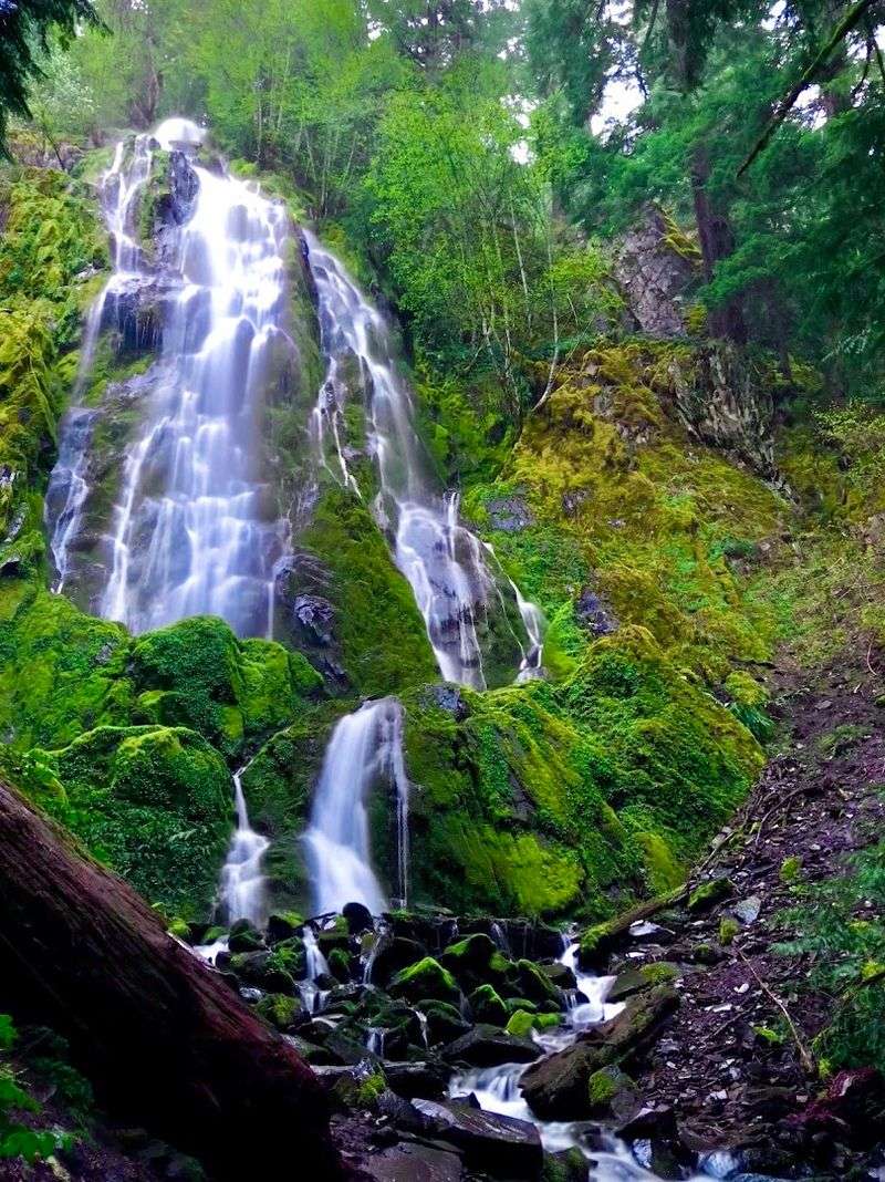 Moon Falls - Umpqua National Forest