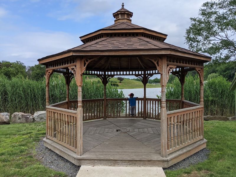 Accessibility and Useful Amenities