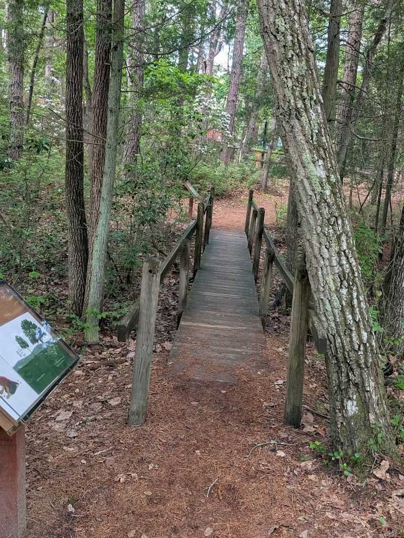 Why Cedar Run Belongs on Every South Jersey Itinerary