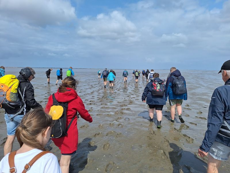Wadden Sea Mudflats