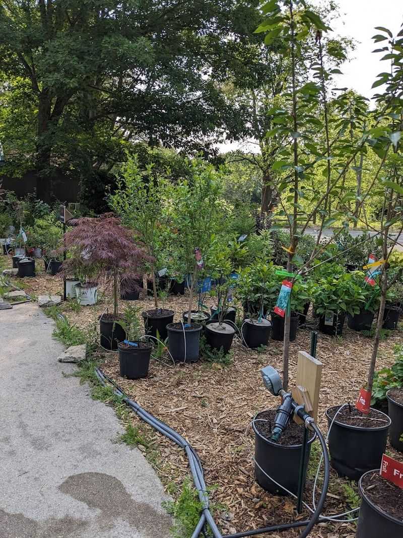 Water Gardens and Hidden Backyard Features