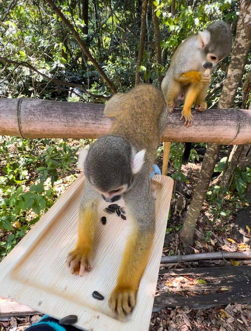 Educational Shows Scheduled Throughout the Day