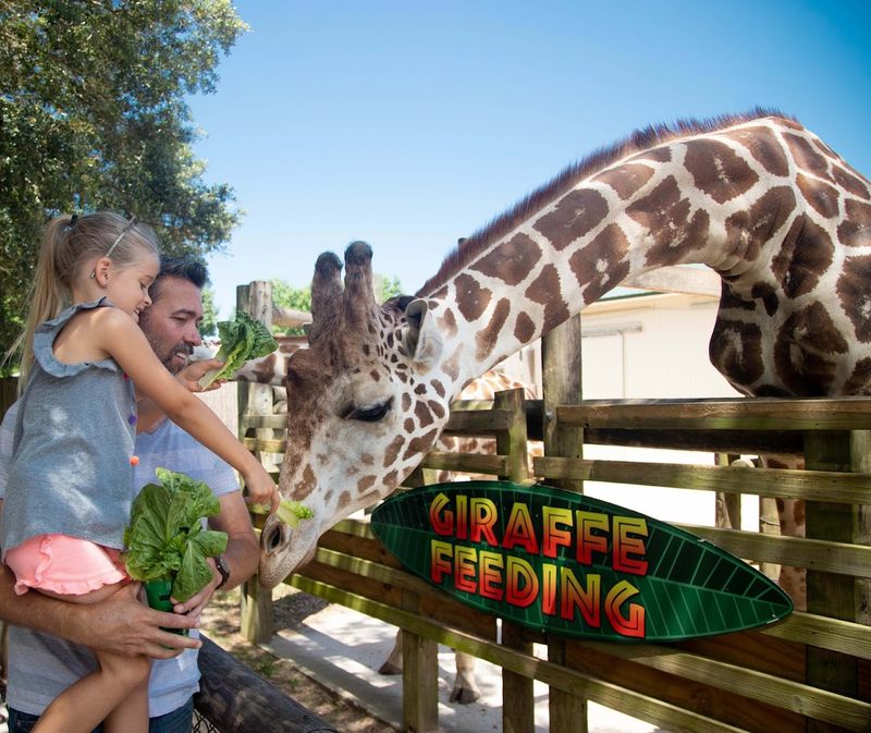 Gulf Breeze Zoo - Gulf Breeze