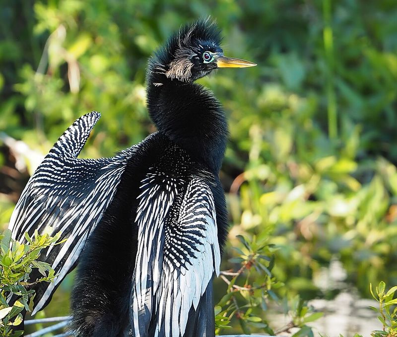 Wakulla Springs State Park