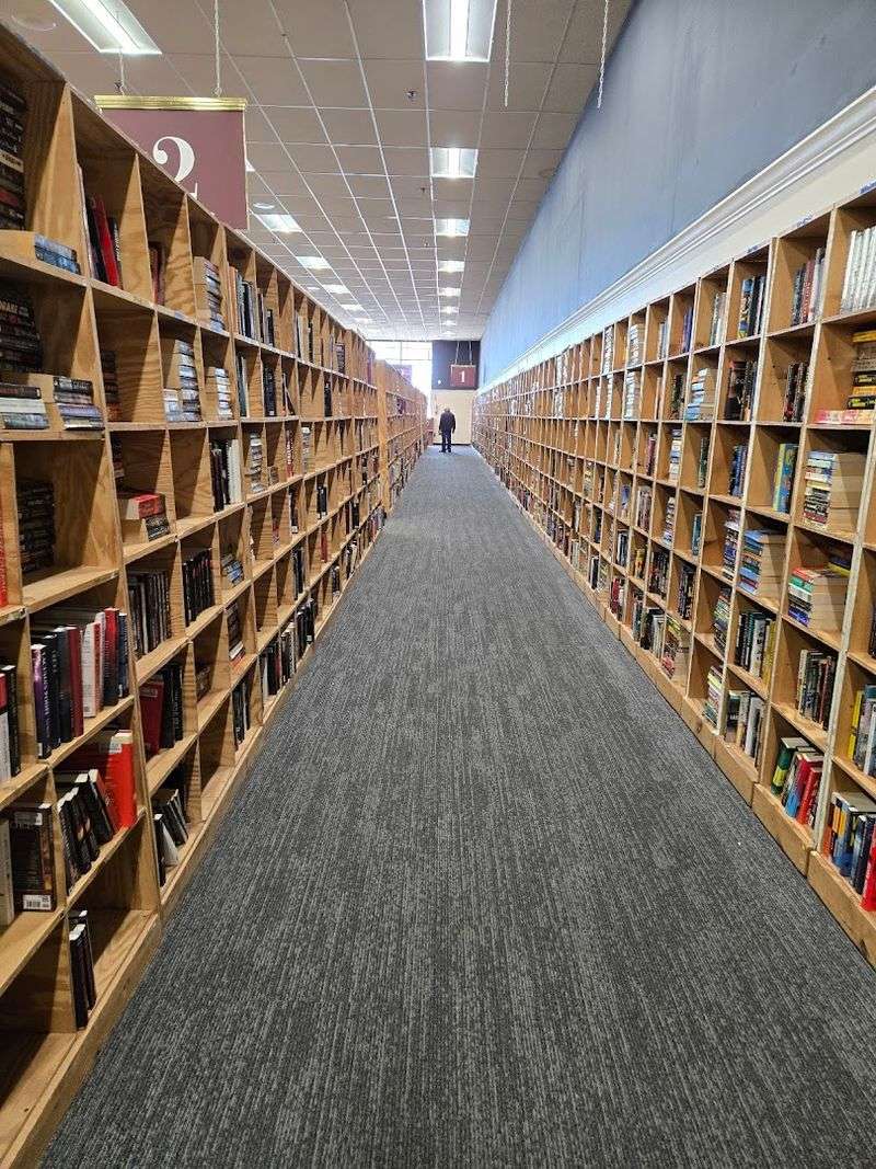 Best Times to Visit and What to Expect