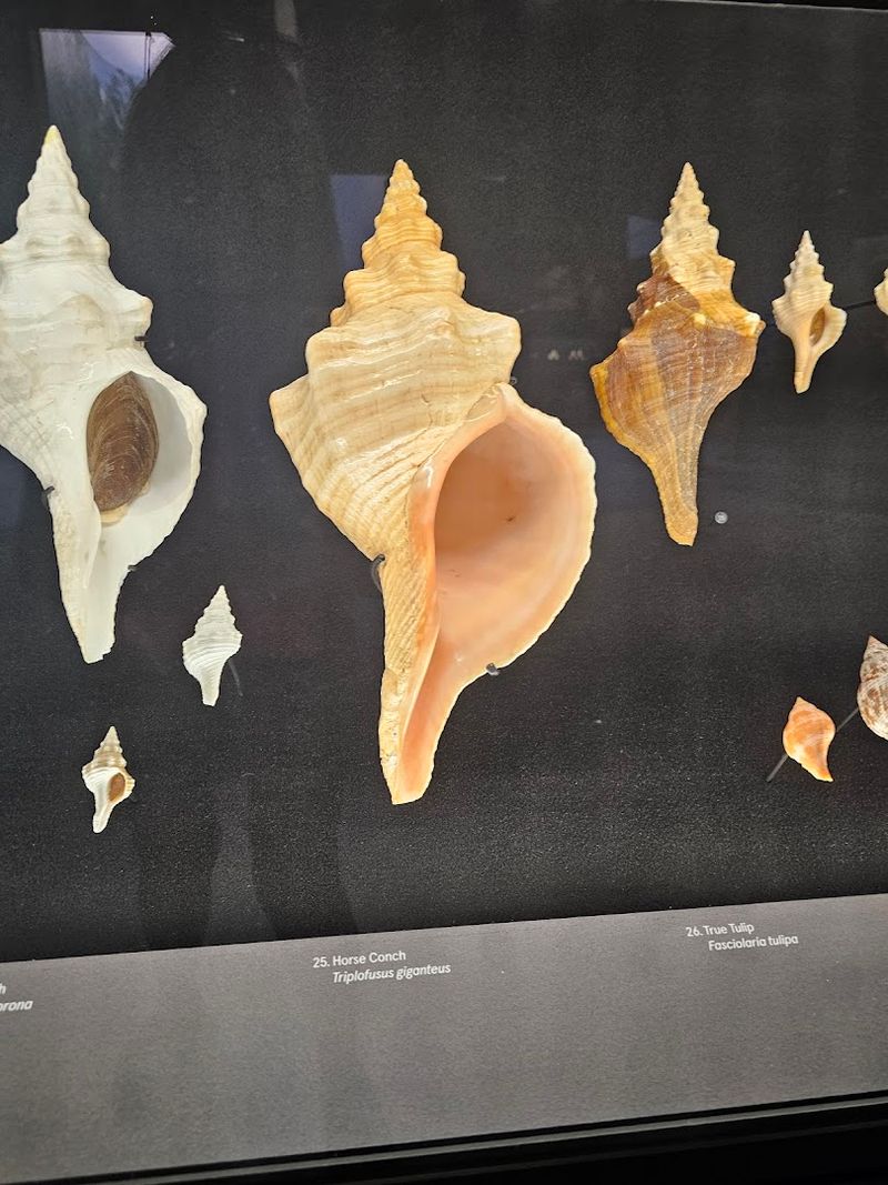 Practical Tips: What to Know Before You Go