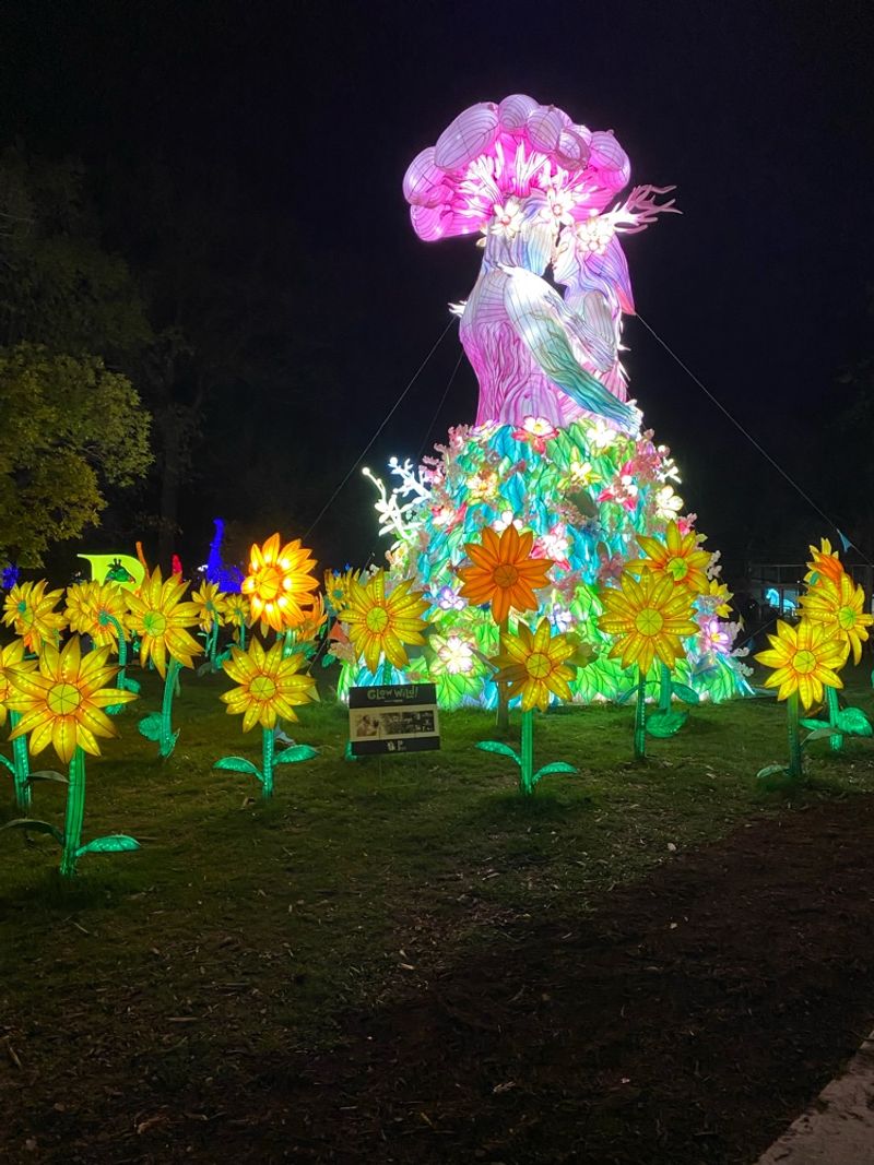 Special Events and Seasonal Highlights Throughout the Year