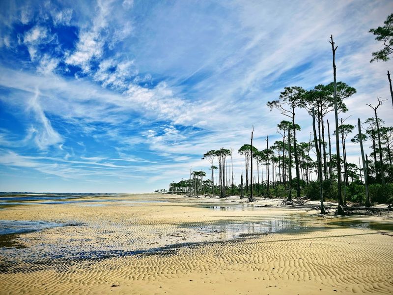 Shell Collecting: A Quiet Pleasure Along Miles of Undisturbed Shoreline