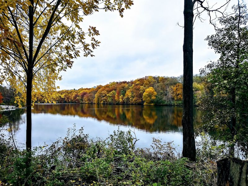 Fall Colors That Turn the Whole Park Gold