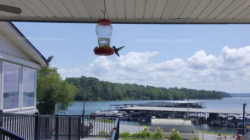 Cypress Springs Restaurant — New Concord