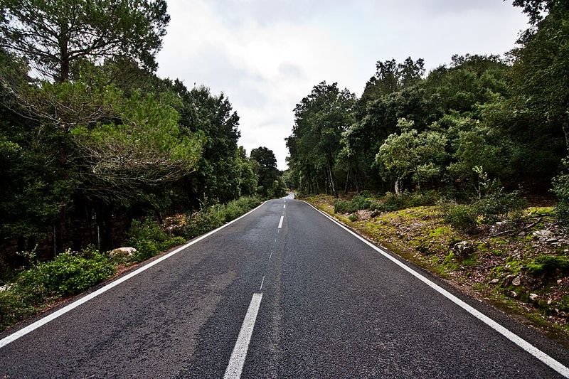 Driving Can Be Challenging in the Mountains