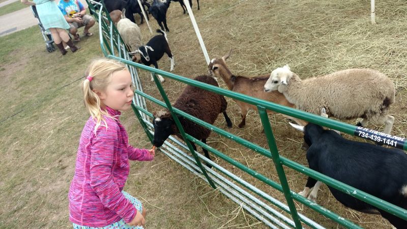 The DNR Pocket Park Gives Kids a Clever Detour