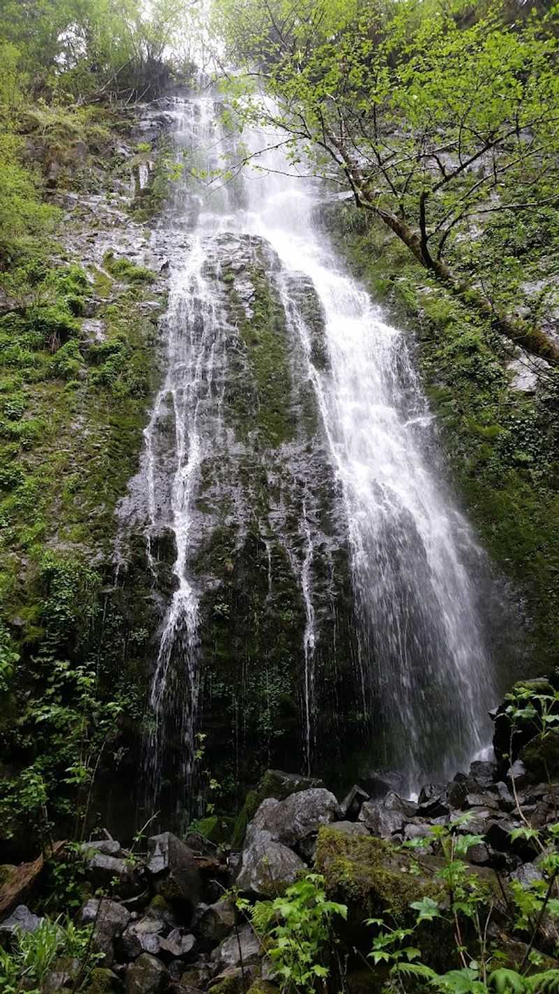 Pheasant Creek Falls - Umpqua Region