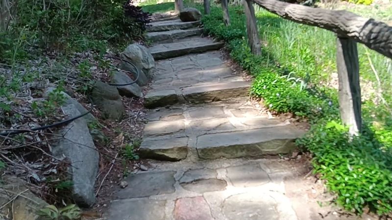 Paths That Take You Somewhere New Every Time