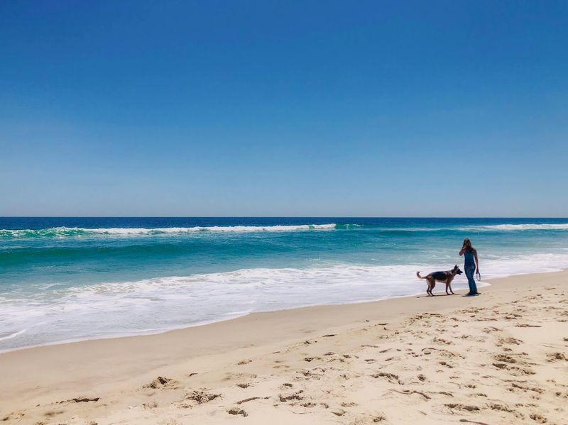 Island Beach State Park, Seaside Park, NJ