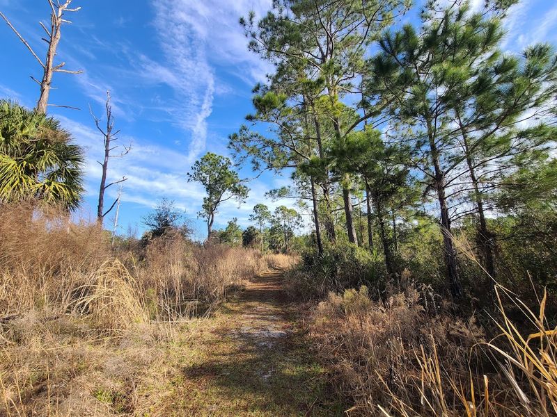 Horse Trails and the Sandy Road Section Explained