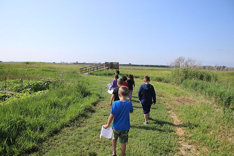 Garden Scavenger Hunts