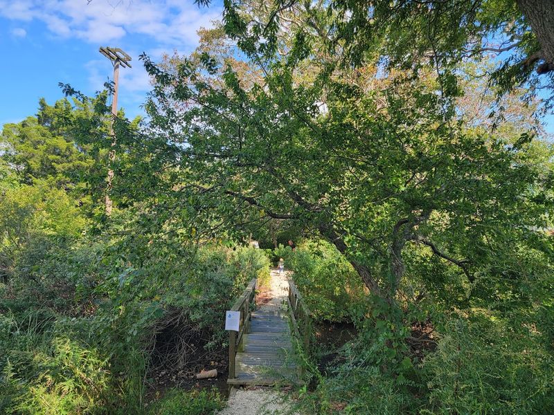 What Makes This Place Work for Non-Beach Days