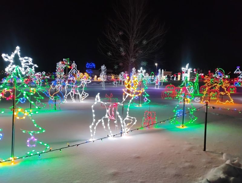 The Christmas Light Experience That Brings Families Back Every December
