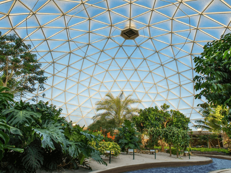 The Pavilion Layout and What to Expect