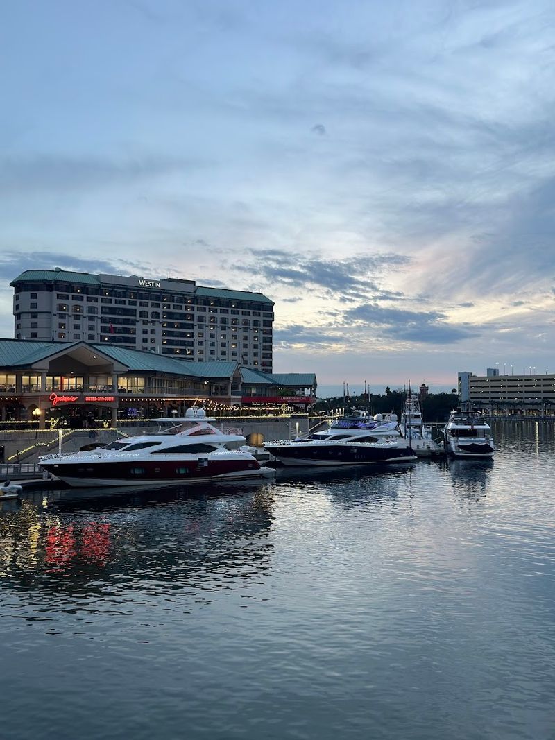 Waterfront Views That Steal the Show