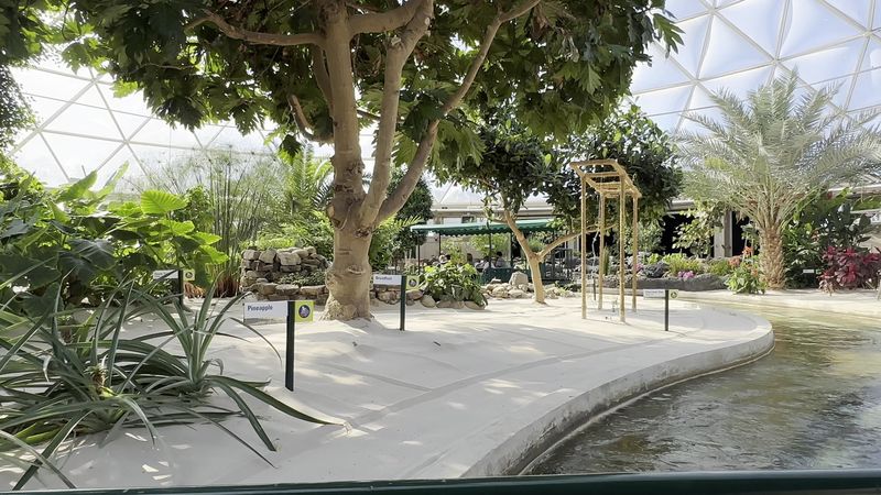 Tips for Making the Most of Your Visit