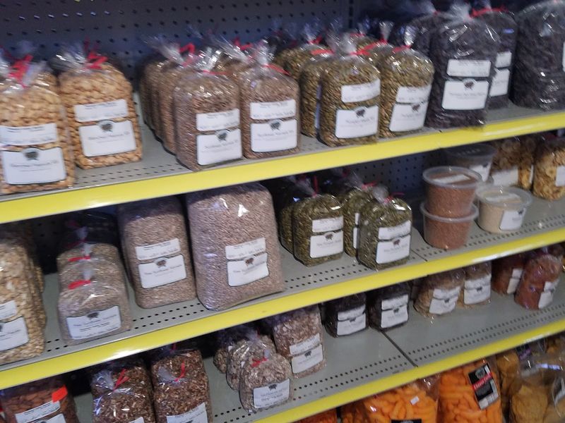 Cheese, Curds, and Dairy Worth Noting