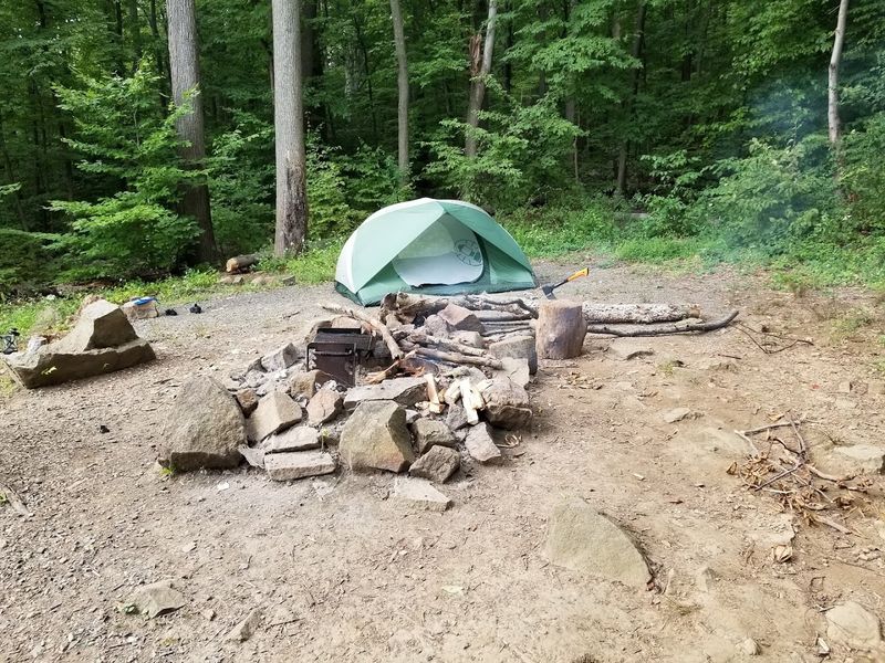 Wilderness Camping Is The Twist