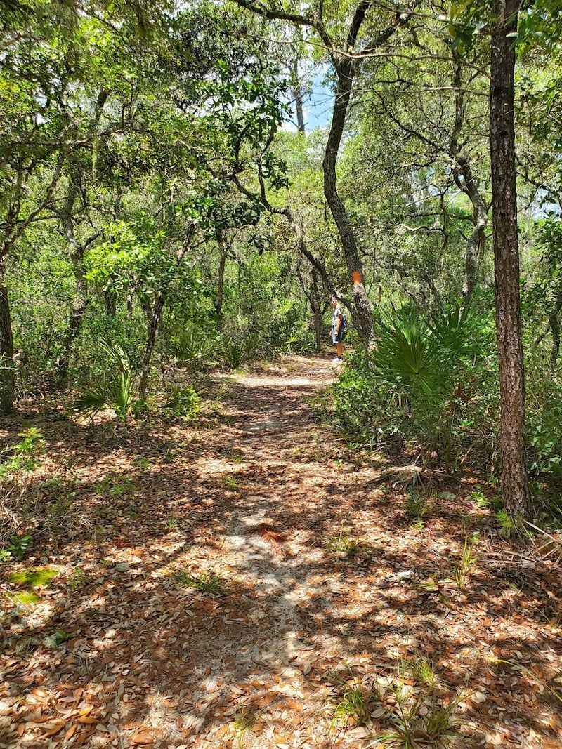 Hiking Options for Every Energy Level