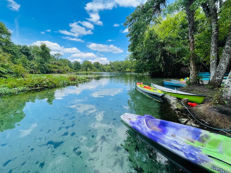 Kayaking and Canoeing the Wekiwa River