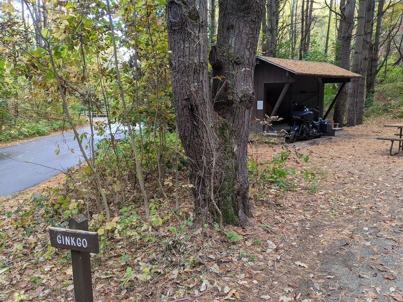 Camping Options That Go Beyond a Tent Site