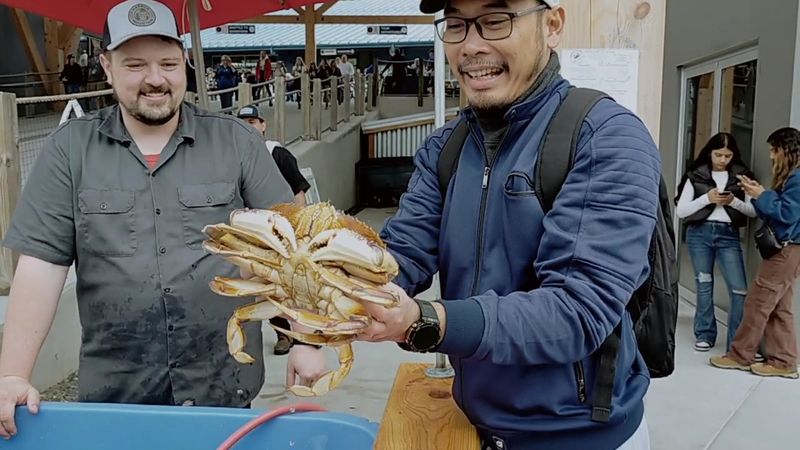 Halibut Point Crab & Chowder — Sitka