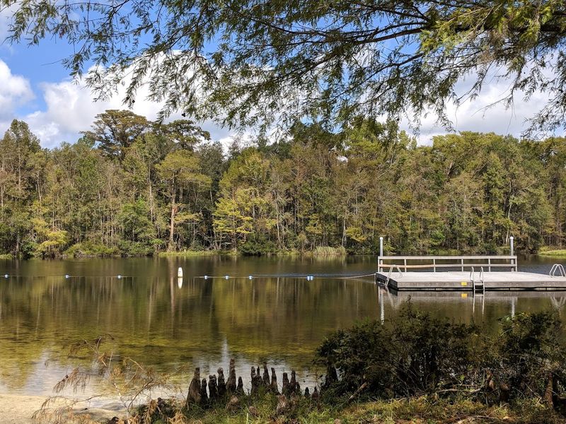 The Spring Itself and Its Staggering Scale