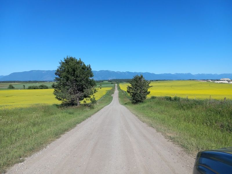 Flathead County, Montana