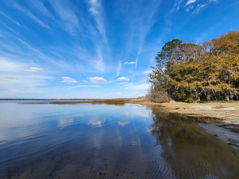 Ocean Pond: The Hidden Lake at the Heart of the Forest