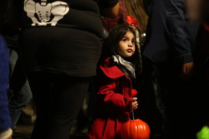 Day of the Dead Celebrations (Mexico)