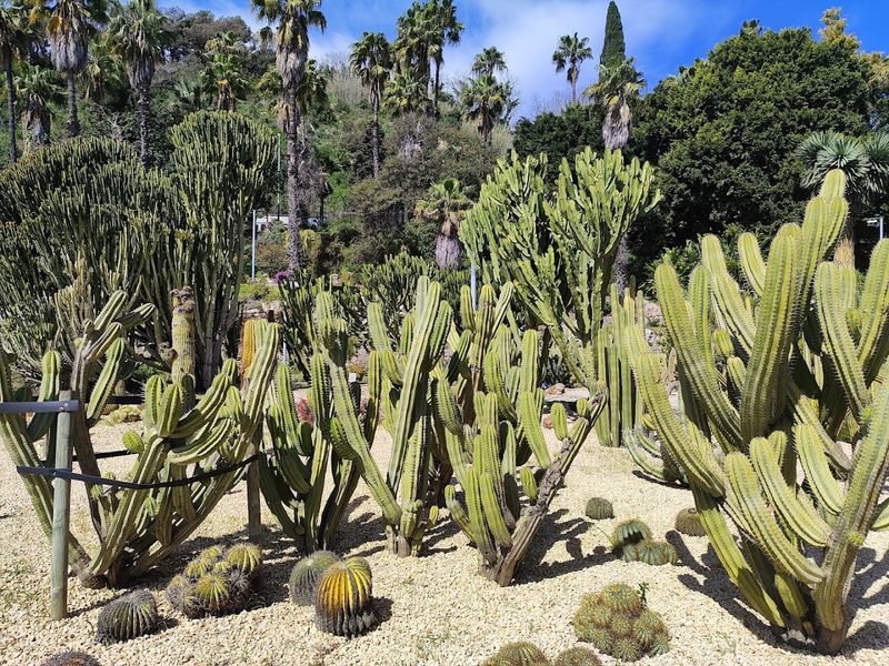 Jardins de Mossèn Costa i Llobera