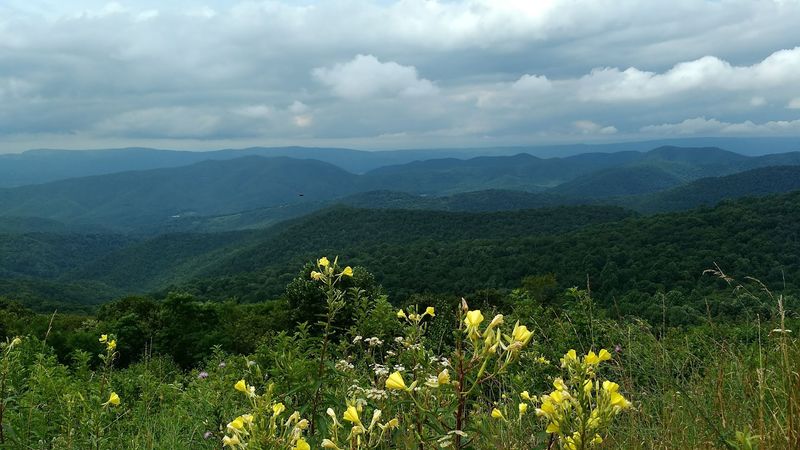 Skyline Drive (Virginia)