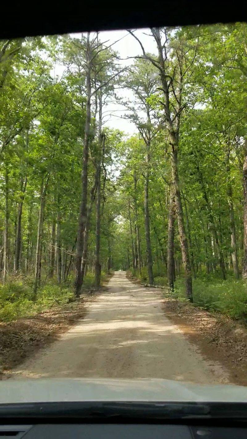 Where to Find It and How to Get Started