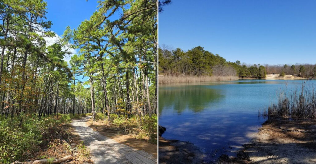 The 7,600-Acre New Jersey Escape Where Forest Roads Lead To A Famous Blue Hole