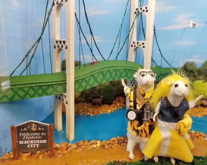 How Much It Costs and Why the Price Makes It a No-Brainer