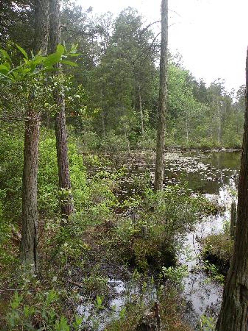 Why Scientists Keep Coming Back Here