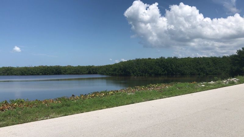 Wildlife Drive Sets The Pace