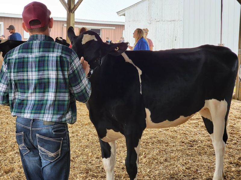 A Fair With Roots Deeper Than the Midway