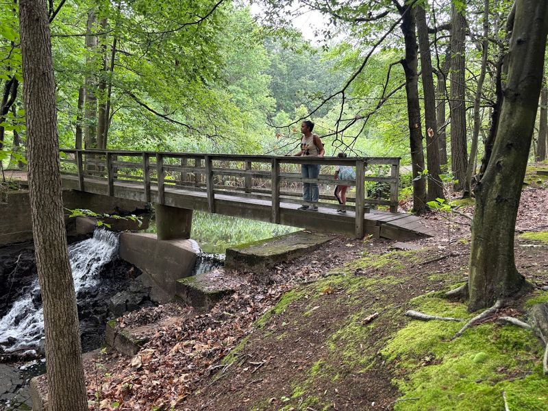 Guided Hikes and Seasonal Programs