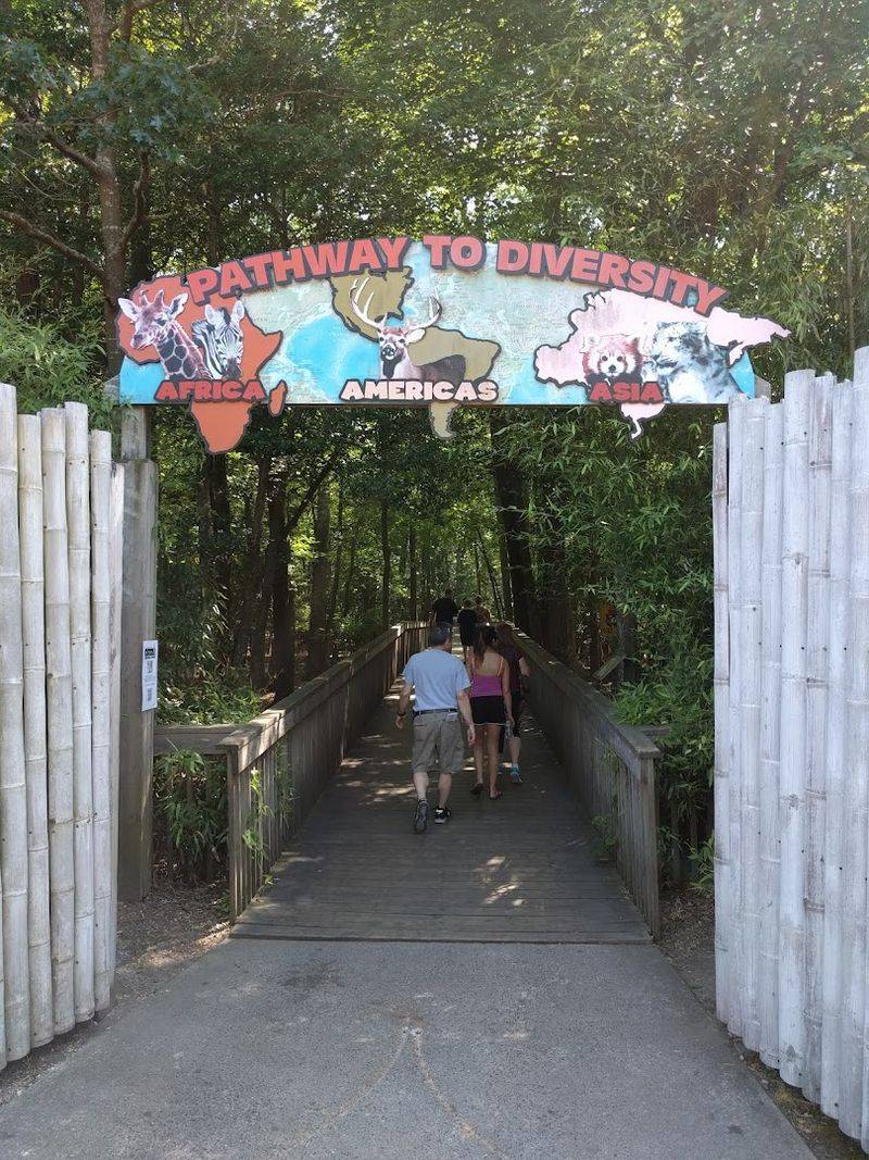 Free Admission, No Catch